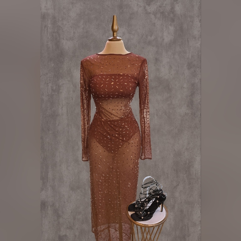 Elegant Sheer Brown Dress